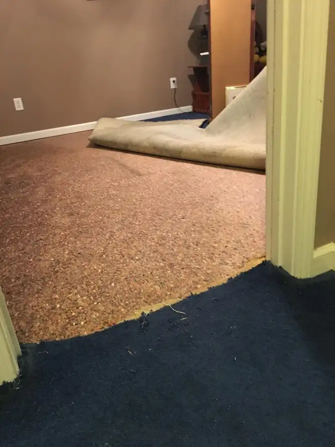 Carpet pad removal revealing water damage during Water Mitigation Services in Bar Harbor
