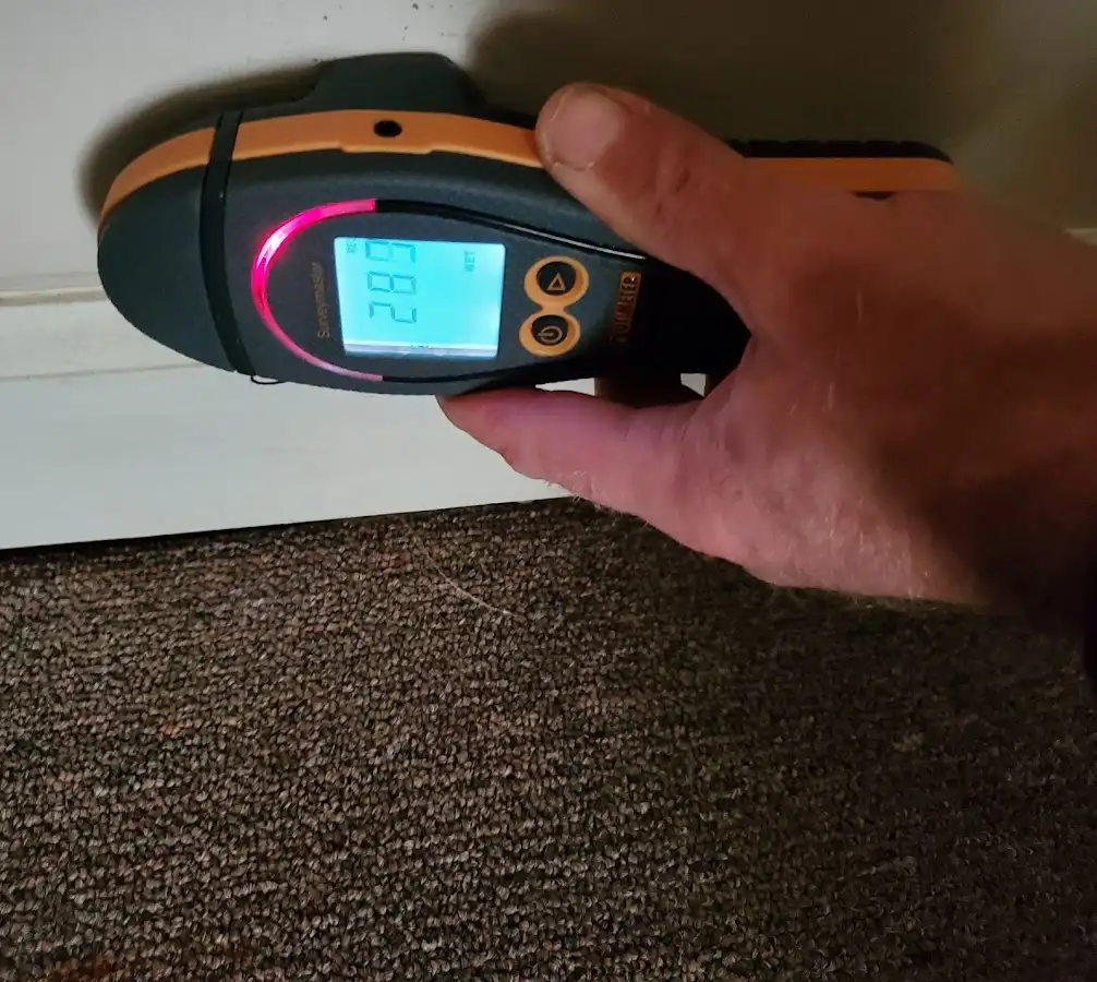 Moisture detection at baseboard during Mold Inspection & Testing in Bar Harbor